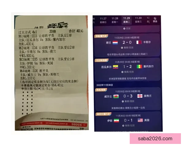 世界杯竞猜策略分析揭秘 如何精准预测比赛结果赢得奖励